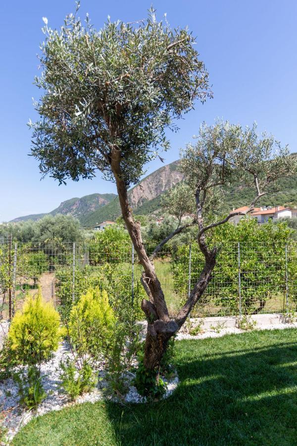 Ferienwohnung Two Olive Trees Psathópirgos Exterior foto